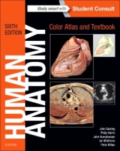 masters of anatomy book 2 pdf