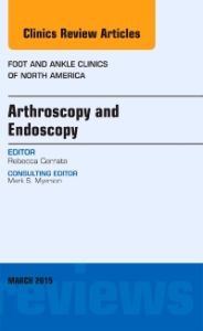 Arthroscopy and Endoscopy, An issue of Foot and Ankle Clinics of North America