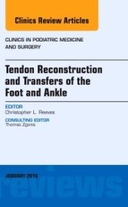 Tendon Repairs and Transfers for the Foot and Ankle, An Issue of Clinics in Podiatric Medicine & Surgery