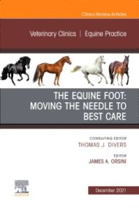 Equine Veterinary Services - Health - Needles: Which one do I use?