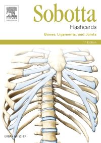 Sobotta Flashcards Bones, Ligaments, and Joints