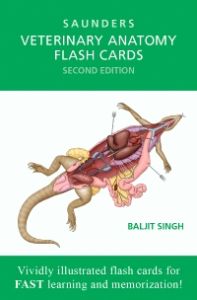 Veterinary Anatomy Flash Cards