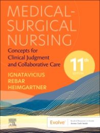 51 Nurse Essentials for 2024 (That Every Nurse Should Own)