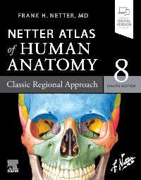 Netter Atlas of Human Anatomy: Classic Regional - 9780323680424
