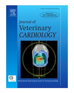 veterinary science toy